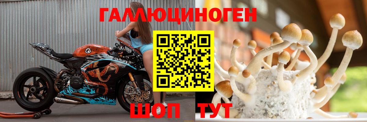 Галлюциногенные грибы MAGIC MUSHROOMS Советский